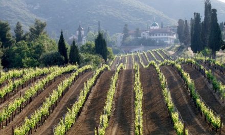 Vins ambassadeurs grecs: les vins de Mont Athos –  IGP (2ème partie)