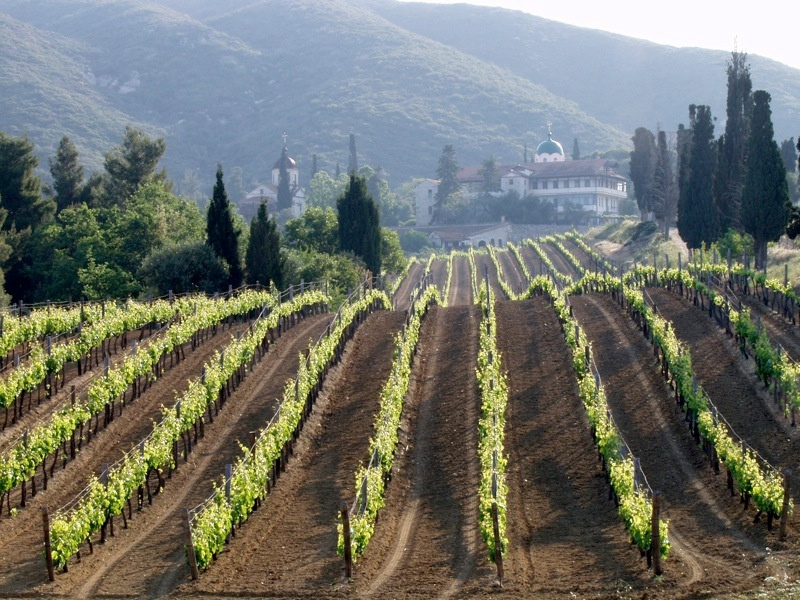Vins ambassadeurs grecs: les vins de Mont Athos –  IGP (2ème partie)