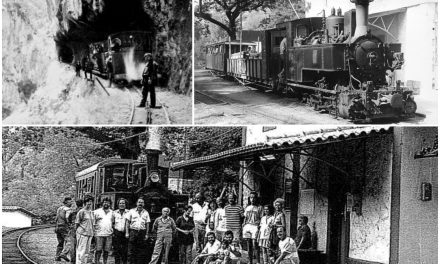 Odondotos: 120 ans pour le train le plus étroit du monde