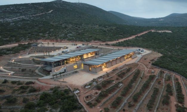 Chios, un nouveau musée pour l’arbre qui pleure