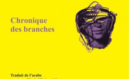 Poésie : Adonis “Miroir de la luge noire”