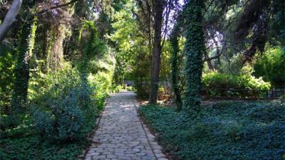 Le Jardin botanique Diomidous: un coin vert plein de charme