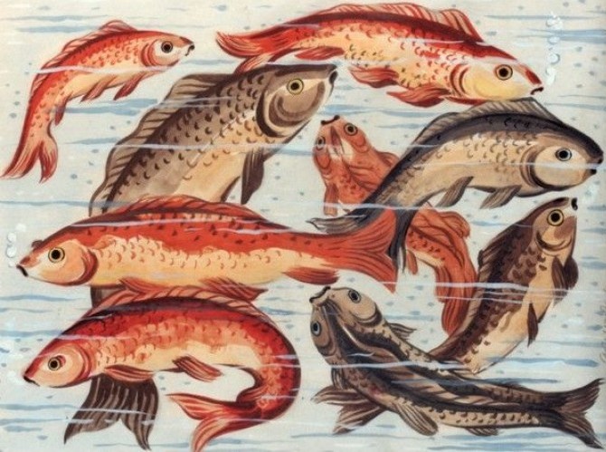 asteriadis poissons rouges nikias
