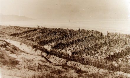 Histoire | Les relations commerciales franco-grecques et les crises agricoles du 19ème siècle : vins, raisin et insectes