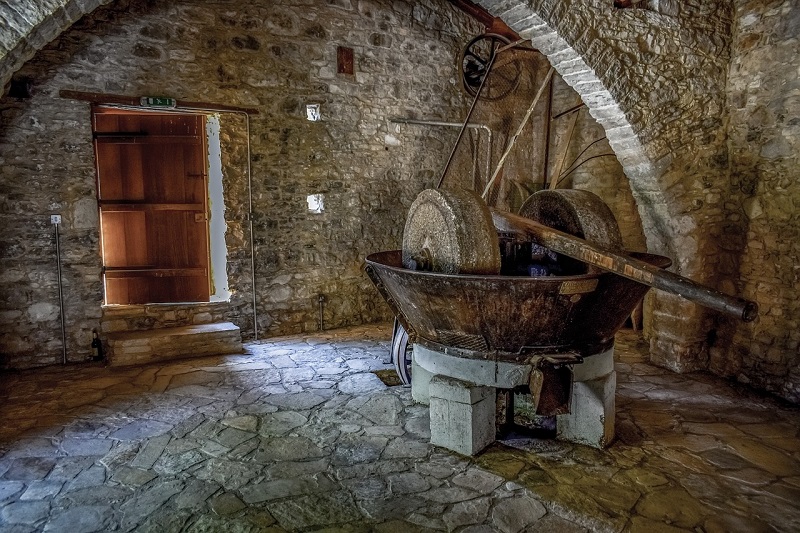 800 olive stone presser