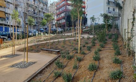 À la découverte des parcs de poche (pocket parks) de la Ville d’Athènes