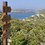 Randonnée dans les îles grecques : explorez des sentiers par-delà le parcours touristique!