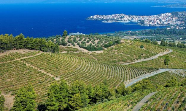 Routes des vins de la Grèce du Nord | Chalcidique