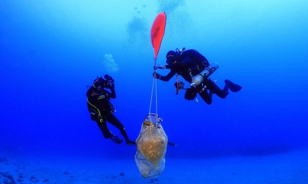 En bref : Recherches archéologiques sous-marines à Kassos et autres infos