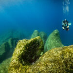 LIFE MareNatura | Le plus grand programme européen de protection de la biodiversité marine jamais élaboré en Grèce