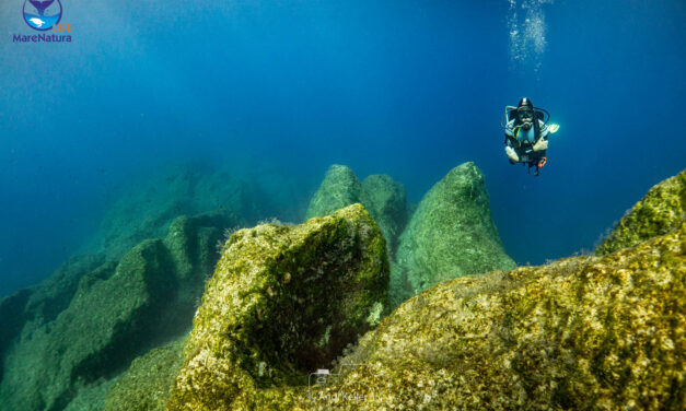 LIFE MareNatura | Le plus grand programme européen de protection de la biodiversité marine jamais élaboré en Grèce