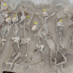  Les “Enchaînés” [« Δεσμώτες »] retrouvent leur position originale, protégés par une enceinte de protection, sur l’Esplanade de Falirο