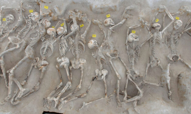  Les “Enchaînés” [« Δεσμώτες »] retrouvent leur position originale, protégés par une enceinte de protection, sur l’Esplanade de Falirο