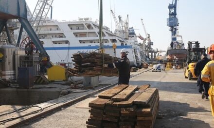 Les chantiers navals grecs investissent dans des partenariats internationaux